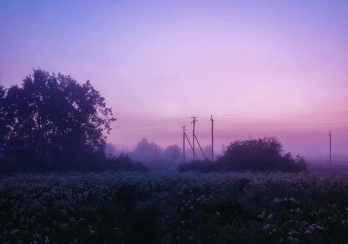 mk体育官网-蓝鲸体育app：让你掌控体育世界的精彩